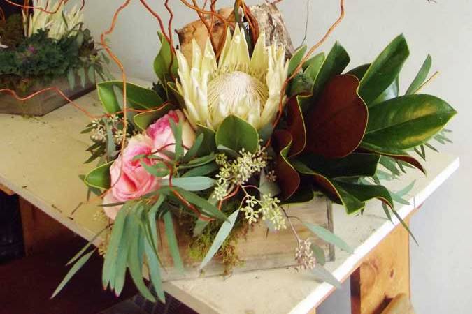 Protea Centerpiece