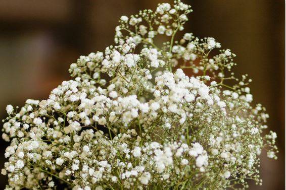 Baby Breath Center Piece