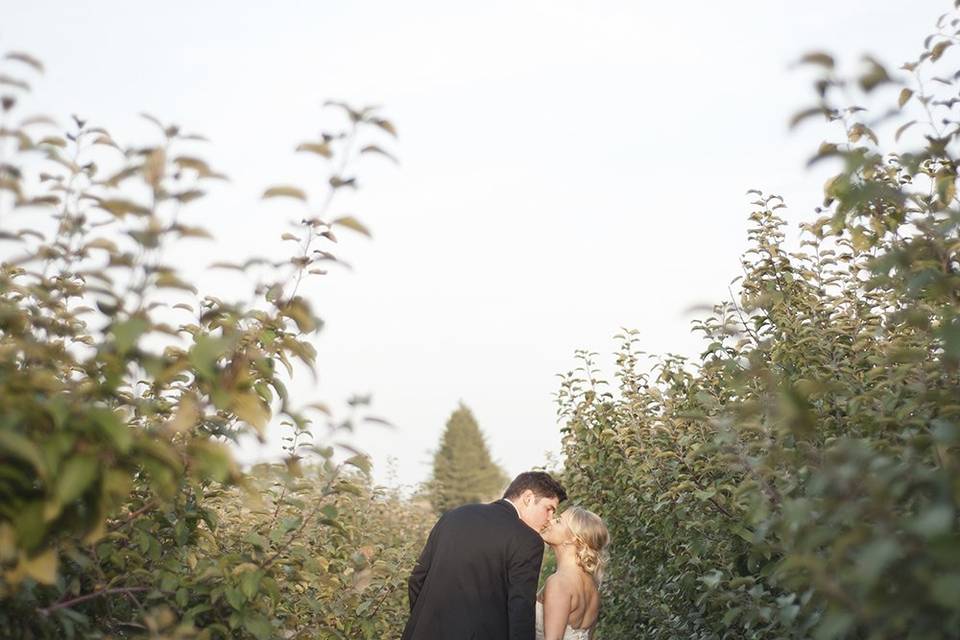 Apple Orchard Wedding