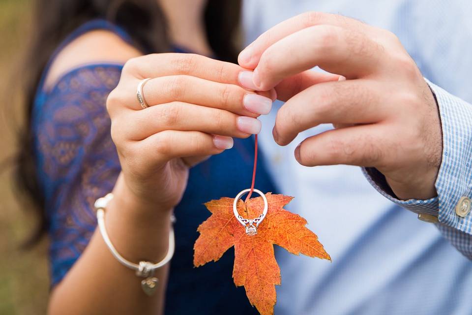 Windsor Engagement Session