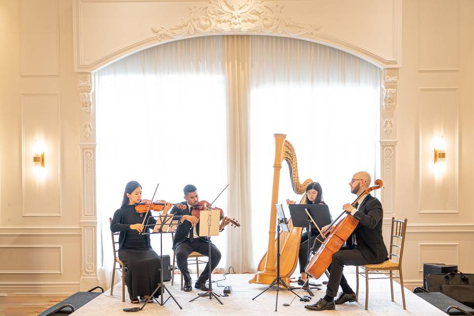 String Trio & Harp