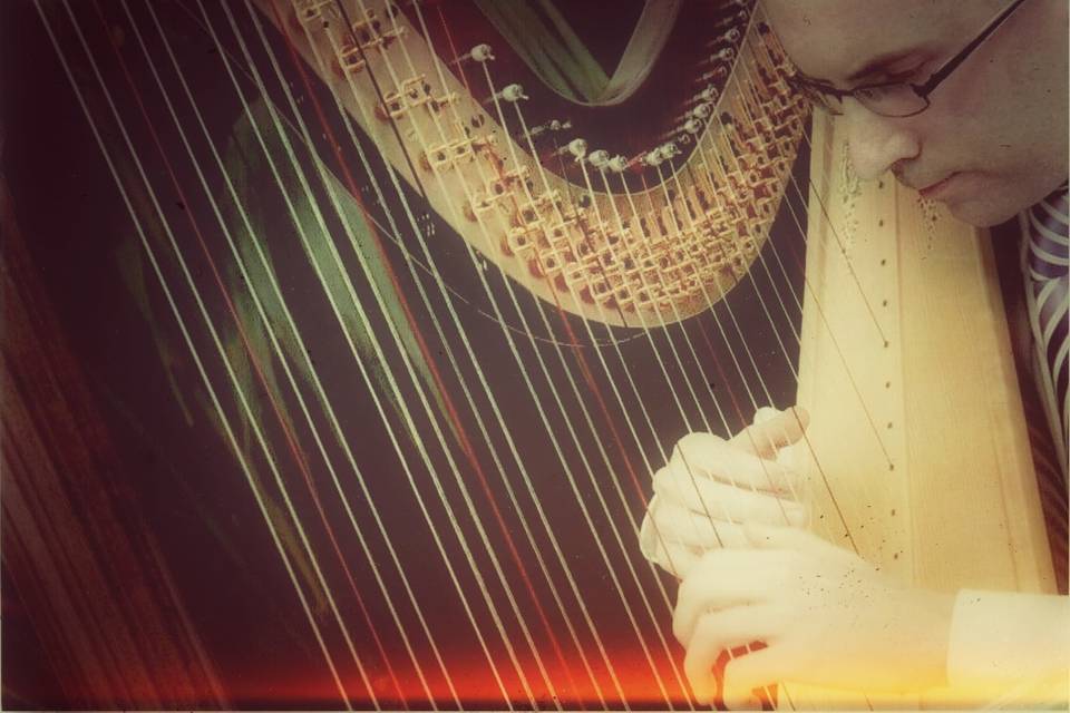 Harpist