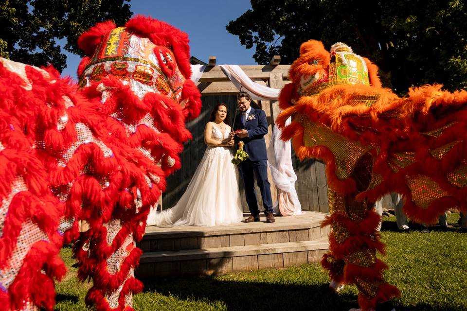 Lion dancers