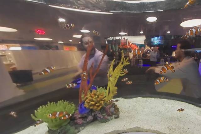 Ripley's Aquarium