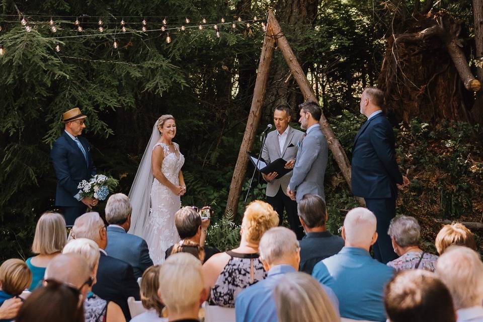 Wedding in the Woods