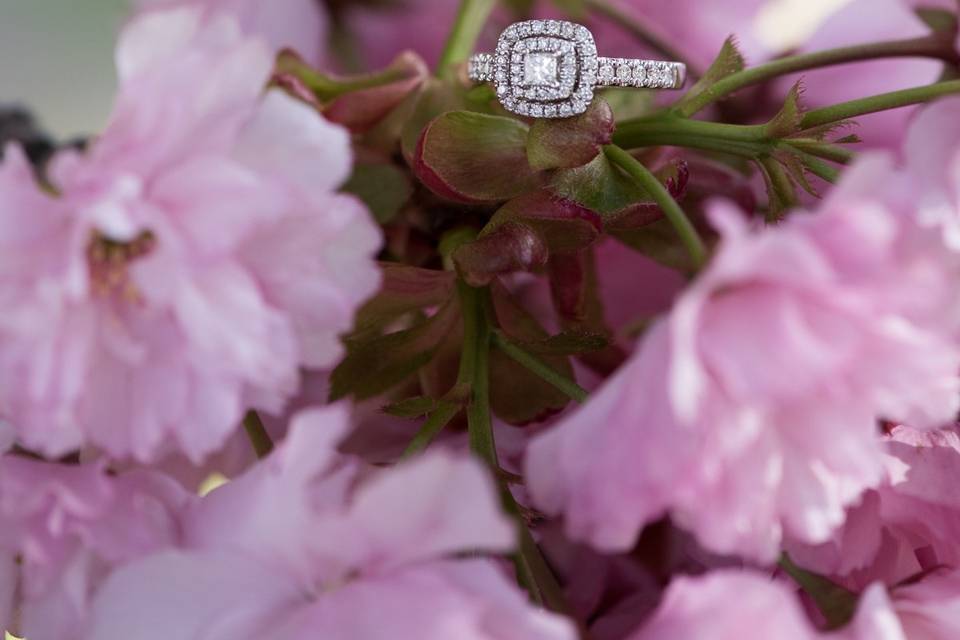 Cherry Blossoms Engagement