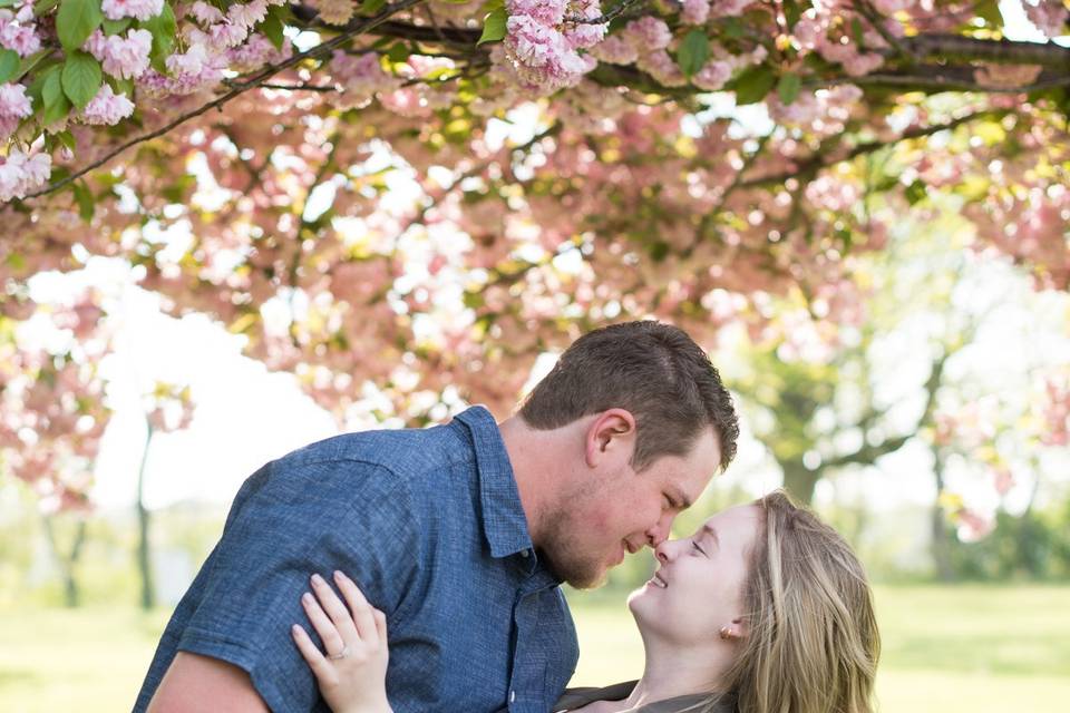 Cherry Blossoms Engagement