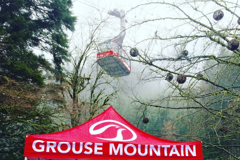 Vancouver DJ Grouse Mountain