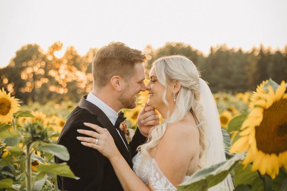 Sunflowers at Sunset