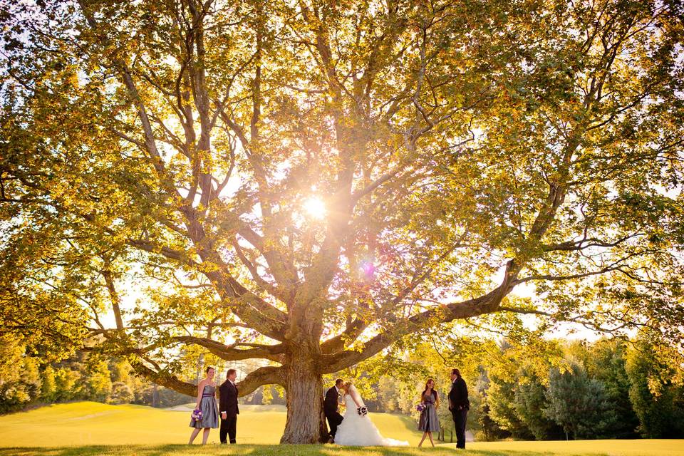 Couple under a tree