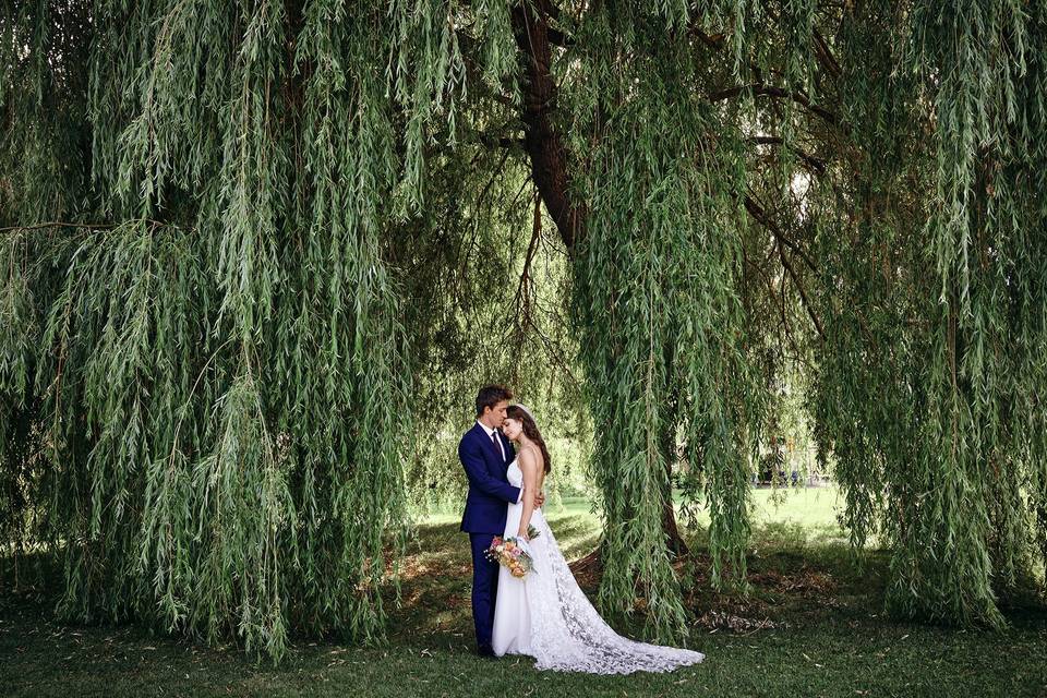 Willow tree & Bride