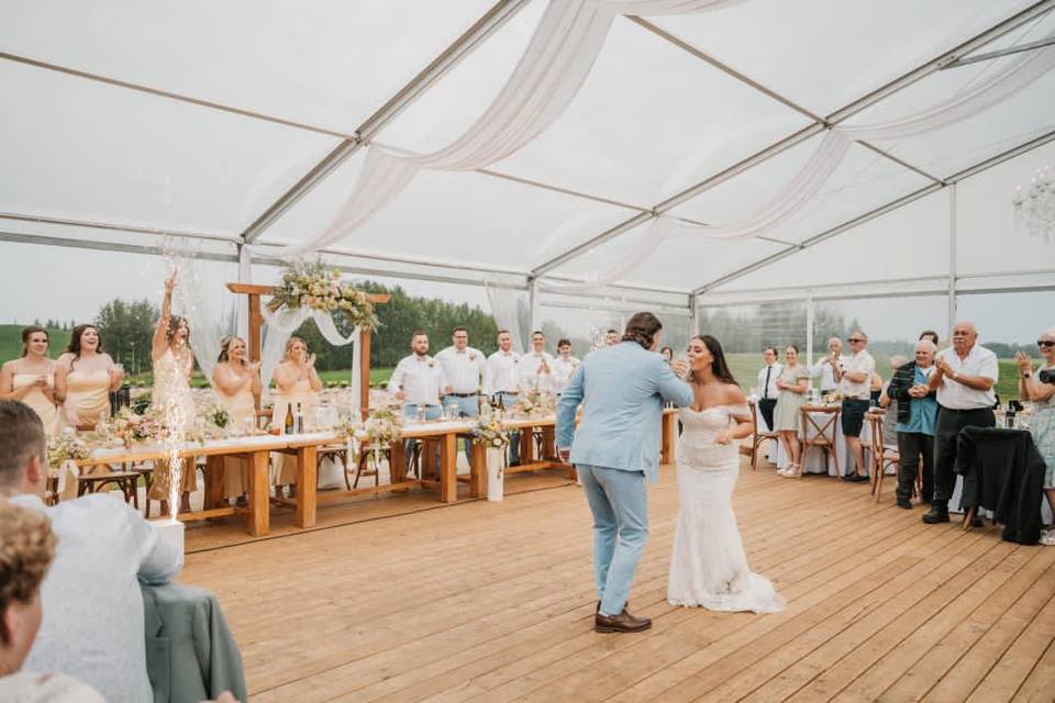 First dancehttps://cdn0.weddin