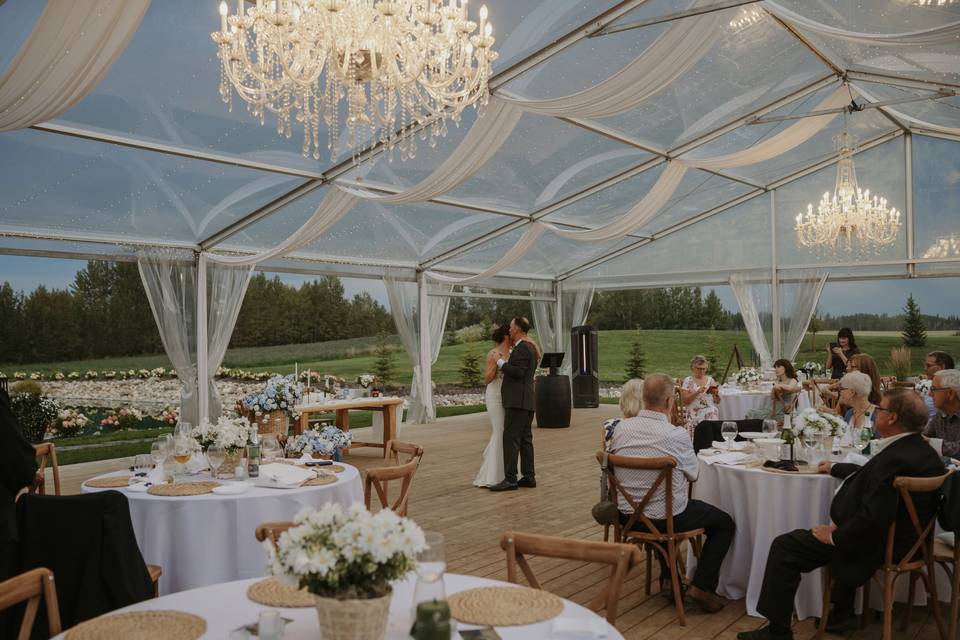 Romantic dancehttps://cdn0.wed