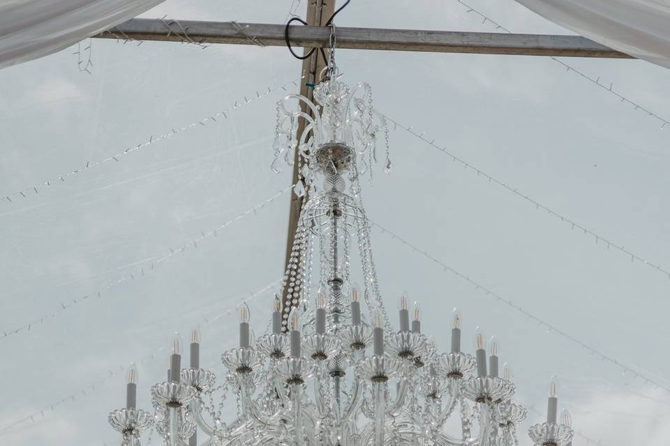 Elegant Chandeliers