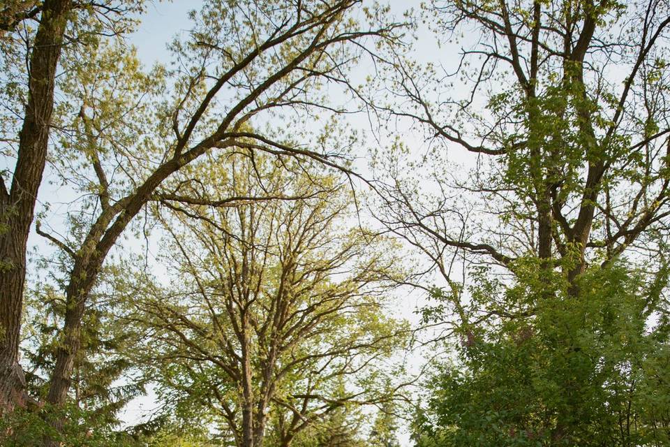 Caitlin Louisa Photography