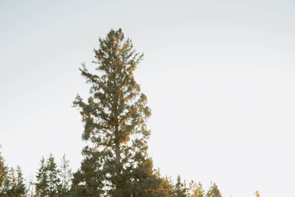 Caitlin Louisa Photography