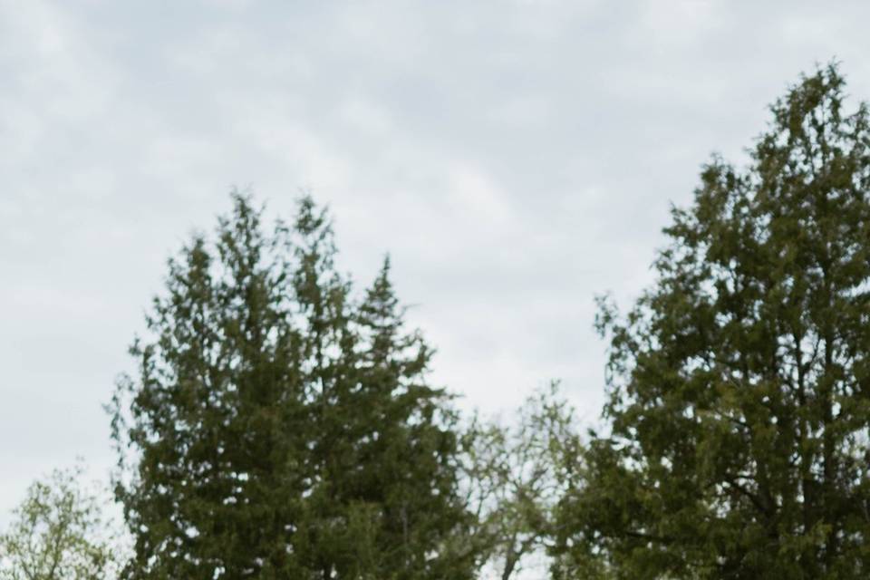 Caitlin Louisa Photography