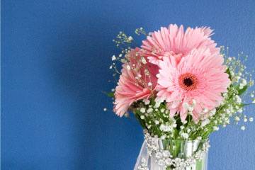 Bride details