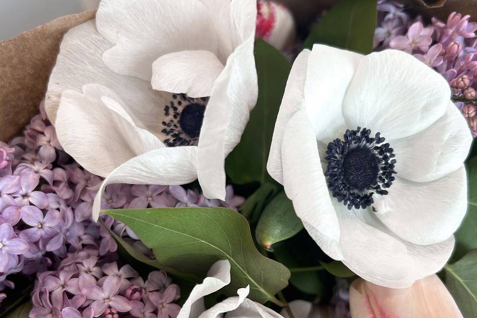Anemones and Lilacs