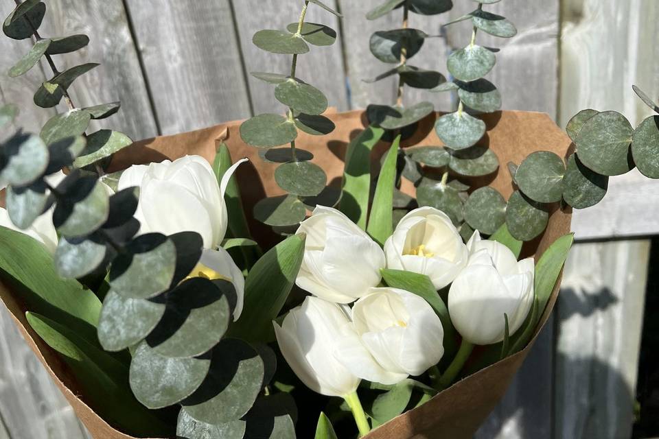 We grow Eucalyptus too!