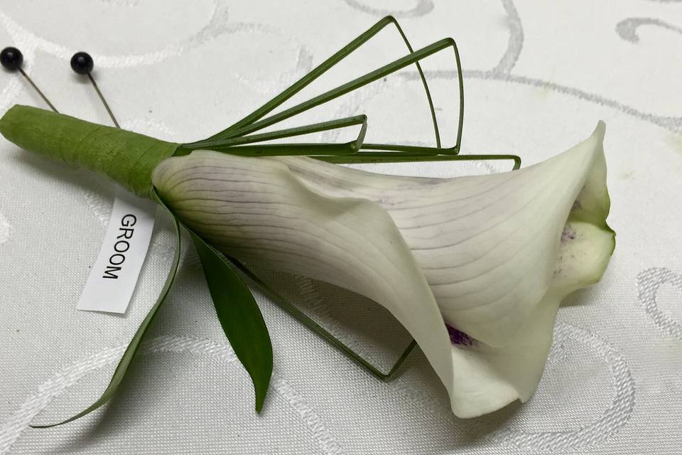 Calla lily