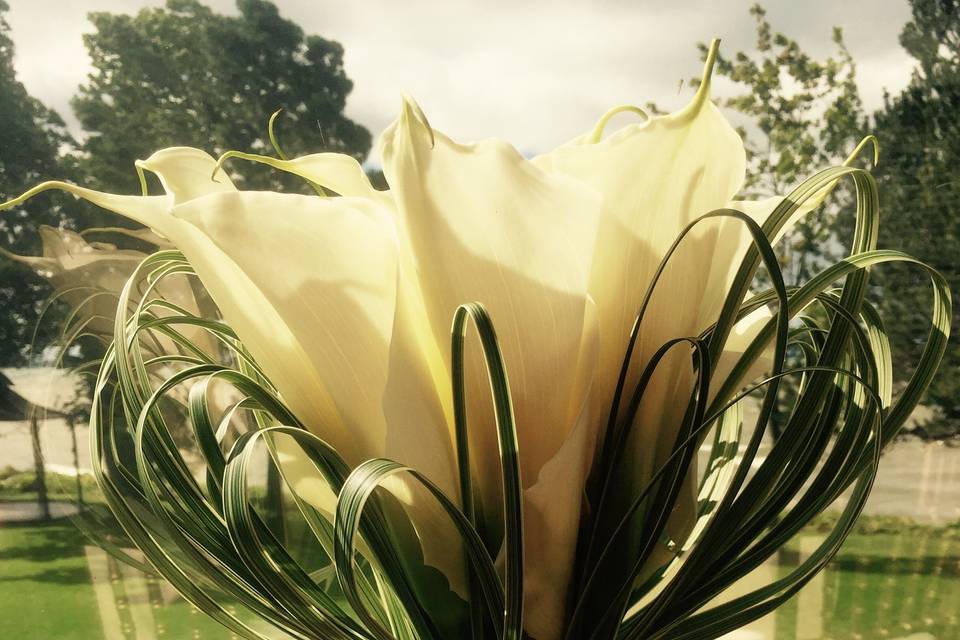 Elegant Calla bouquet