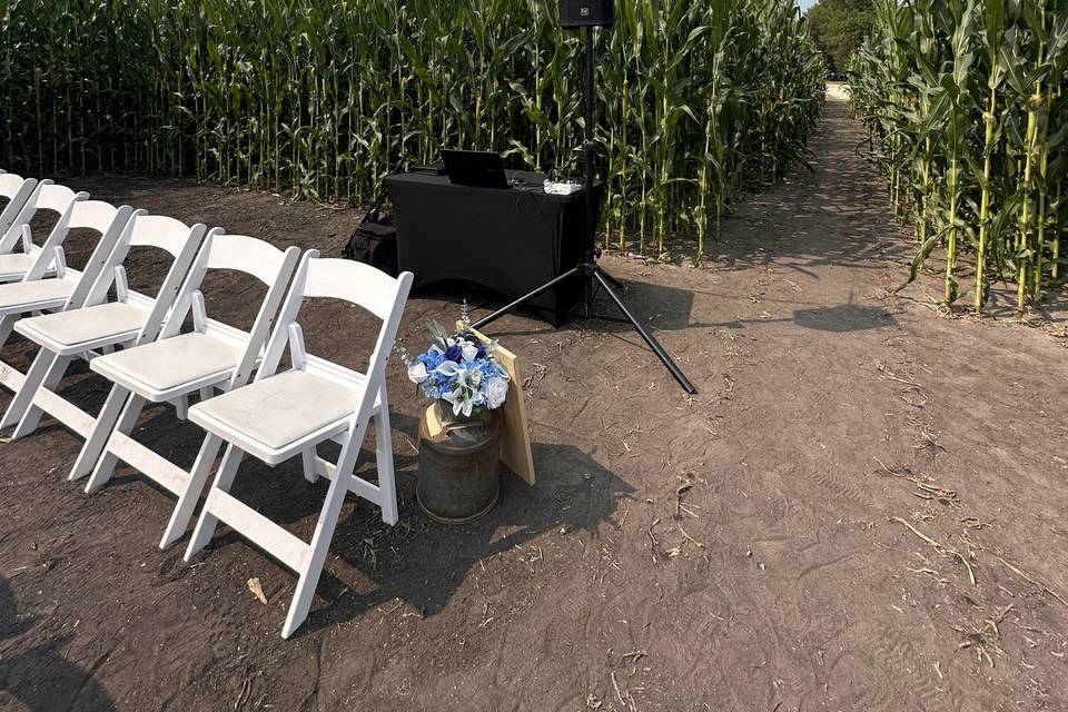 Corn Field Set-Up