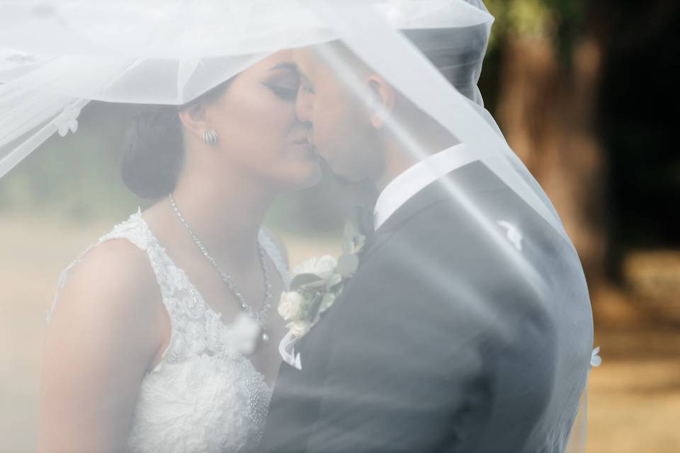 Veil photo