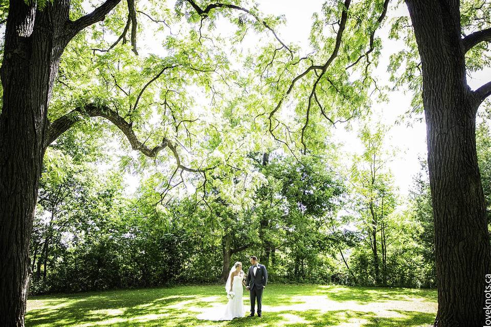 LoveKnots Wedding Photography