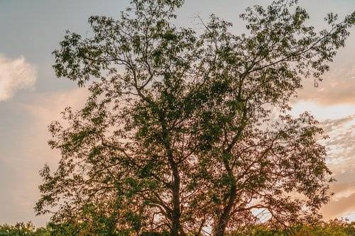 Eloping? Meet you there!