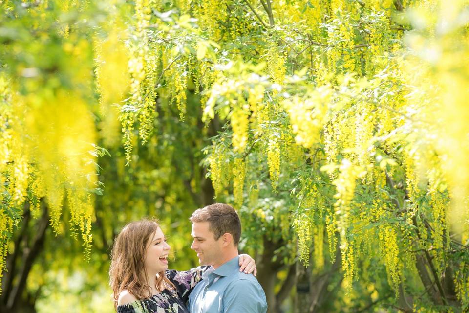 Engagement Session