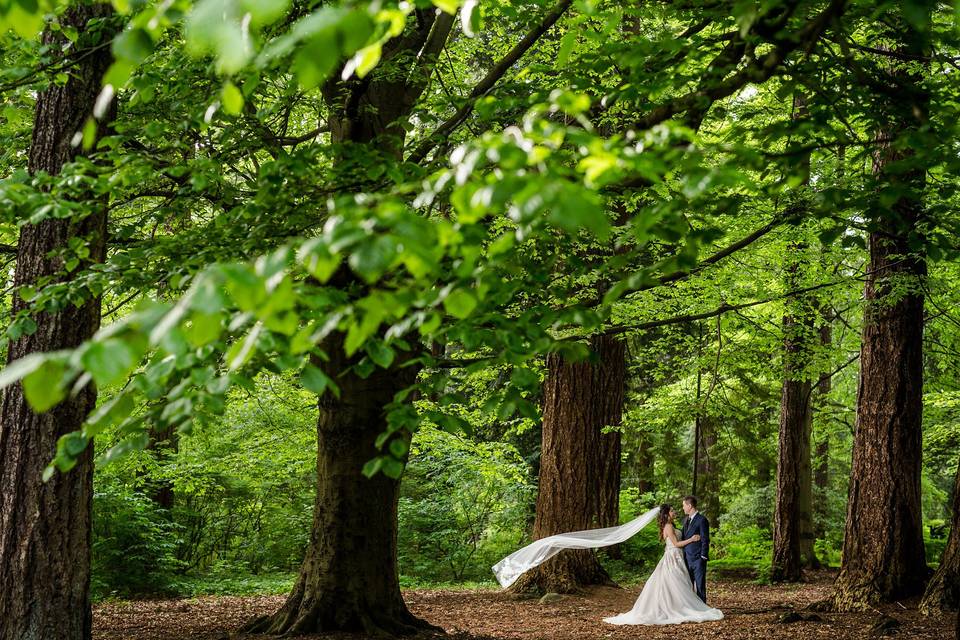 Vancouver Wedding Photography