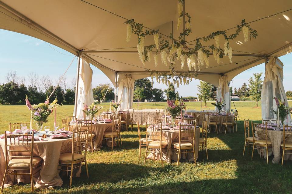 Tent Rental Set Up