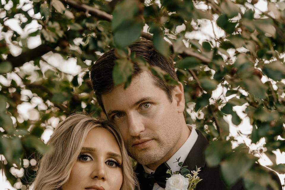 Moody Glamorous Formal Photo