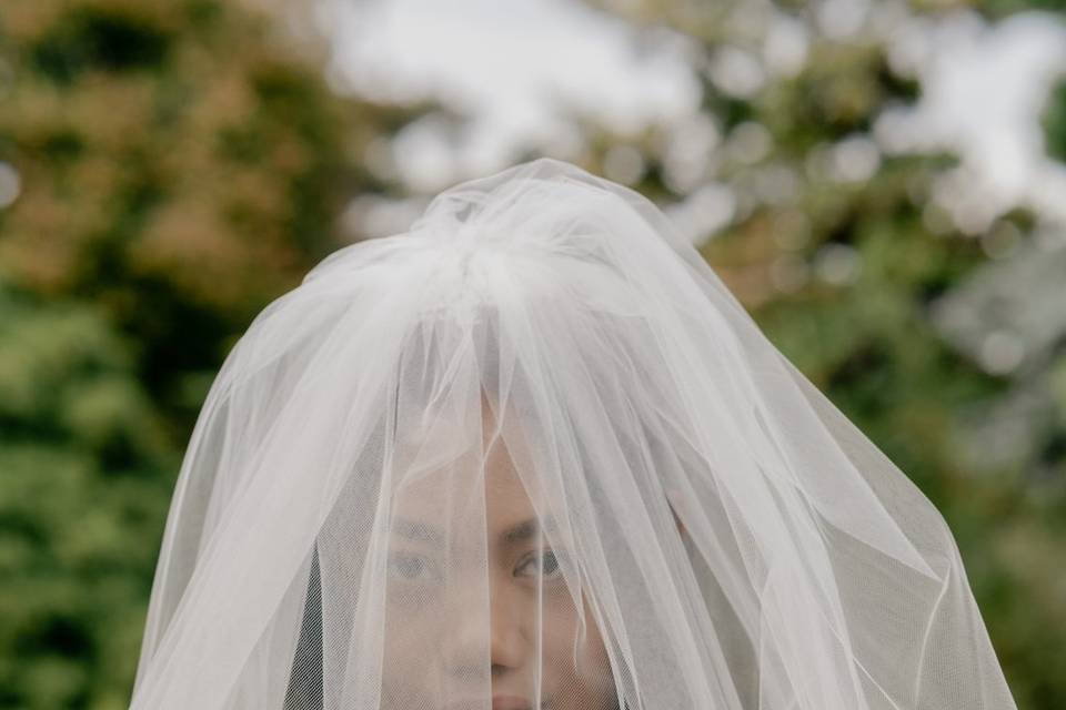 Moody Bride Under the Veil