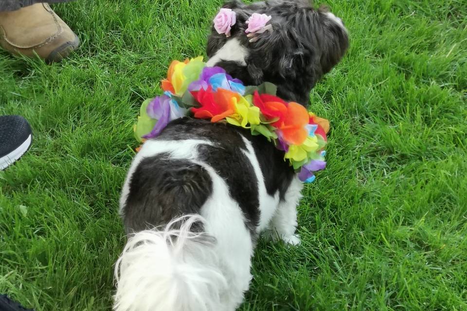 Cutest Flowergirl