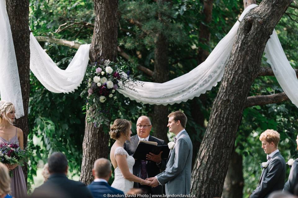 Under the tree