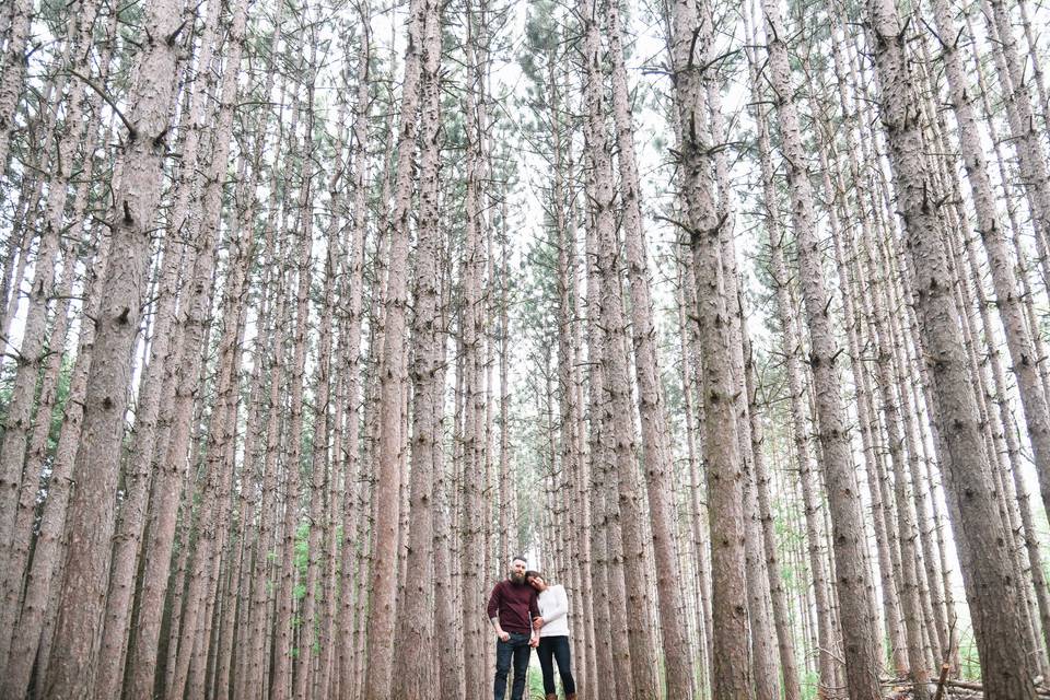 Forest engagement session