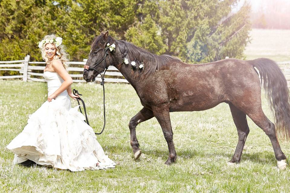 Farm Wedding