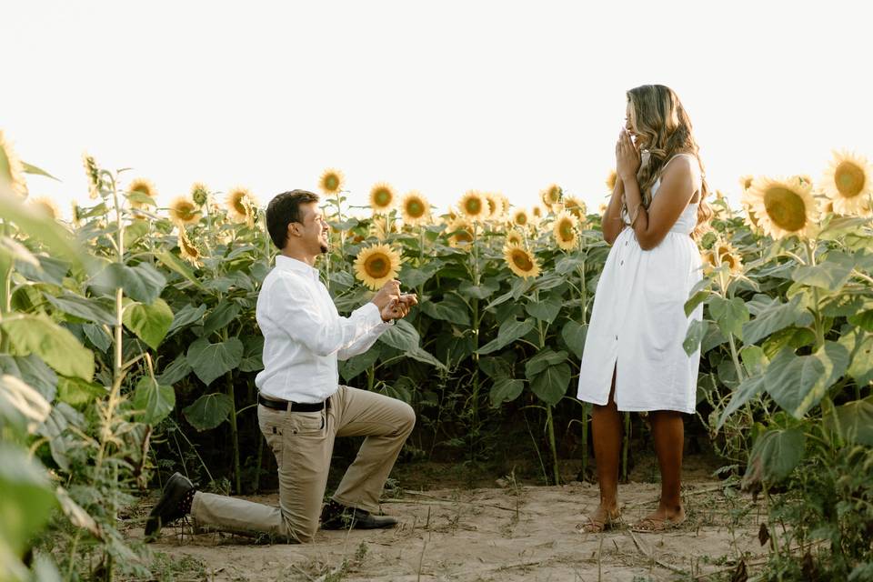 The Big Day: Proposal