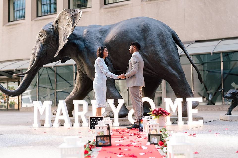 The Big Day: Proposal