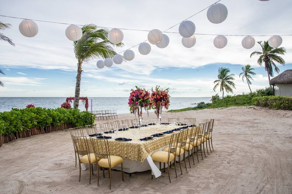 Coral Tide Destination Weddings & Travel