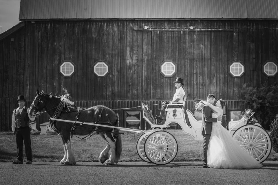 The Barn, Carleton Place