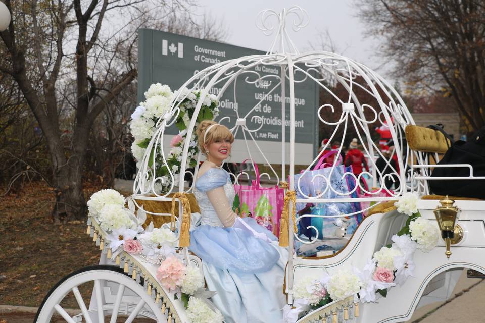 Cinderella in her carriage