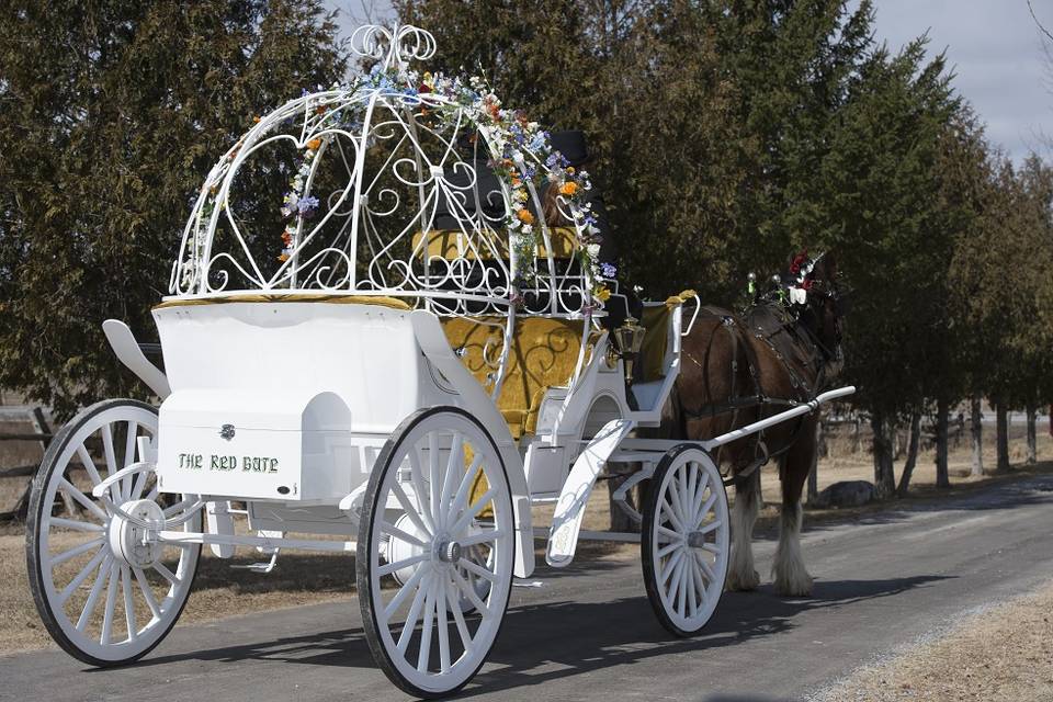 Cinderella carriage