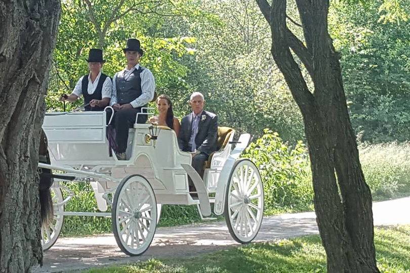 A wedding in the woods