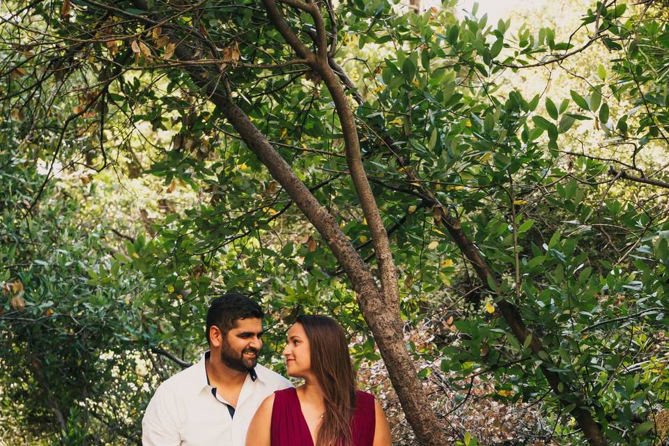 Engagement photos