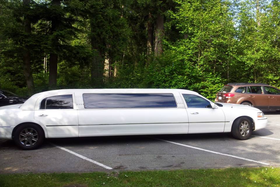 City Limousine Ltd.