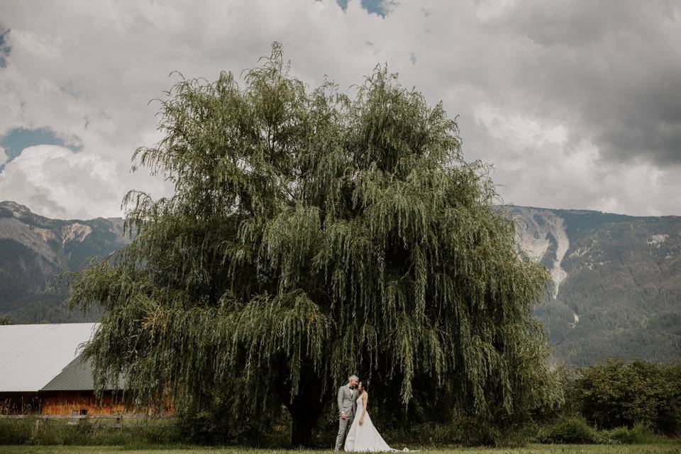 The Weeping Willow Enclosure