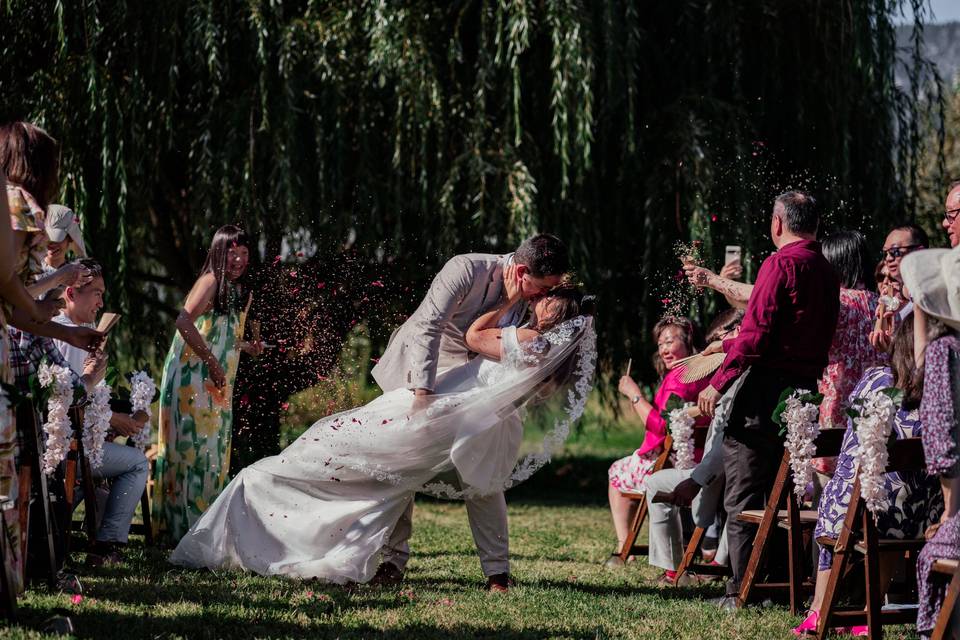 Weeping Willow ceremony site